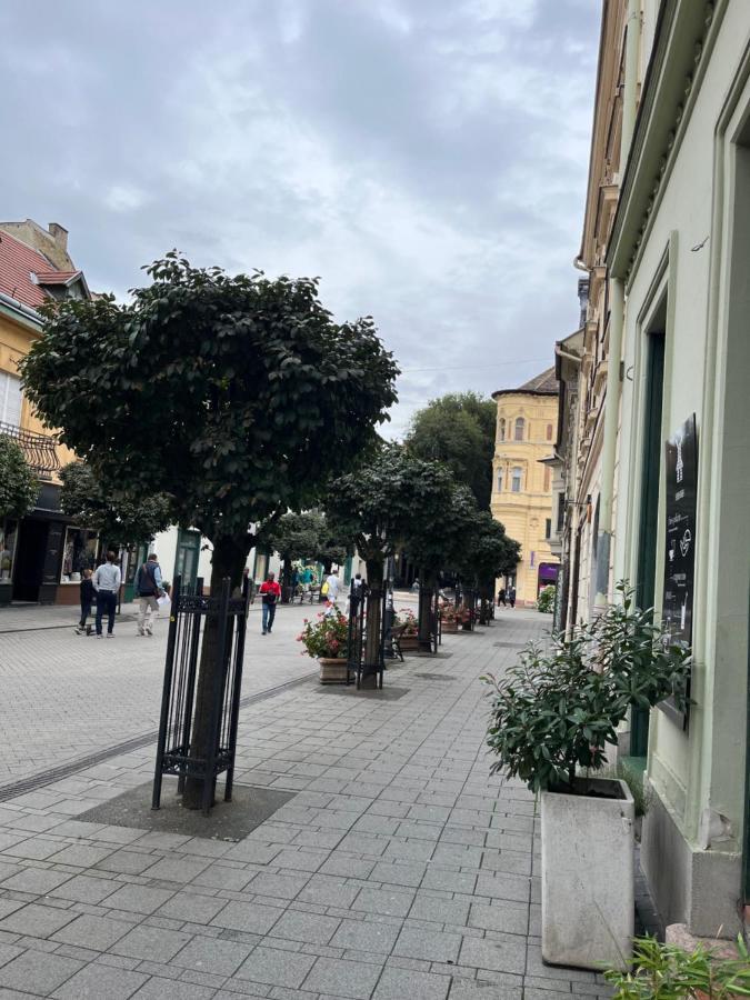 Wiener Garden Győr Eksteriør billede